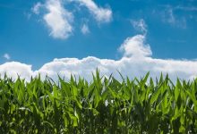 四川成都西华大学自考专业自考文凭国外认可吗?含金量高不高?-西华大学自考网