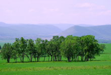 四川成都西华大学自考专业自考什么专业越老越吃香?-西华大学自考网