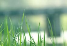 怎么样申请四川成都西华大学自考专业自考本科的学士学位证书？流程是什么？-西华大学自考网