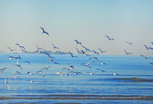 四川成都西华大学自考专业自考网上报名就行了吗?需要到现场报名吗?-西华大学自考网