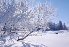 四川成都西华大学自考专业自考本科和专科能不能一起报?-西华大学自考网