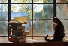 四川小自考的重点学校及对应专业推荐-西华大学自考网